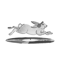 http://jeanandre.fr/files/gimgs/th-18_rabbitraph.jpg