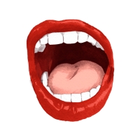 http://jeanandre.fr/files/gimgs/th-21_france1.jpg