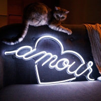 http://jeanandre.fr/files/gimgs/th-33_Amour-JA-2_1_830c8710-b5e8-467e-a8b5-1e995d9bc456.jpg